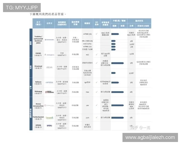 云顶新耀官网登录最新版本下载及安全登录技巧全攻略