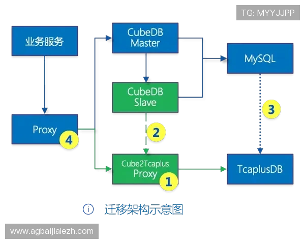 全面解析DB真人游戏的规则与操作流程帮助新手快速入门 全面解析DB真人游戏的规则与操作流程帮助新手快速入门