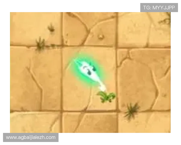 选择多宝真人还是pa真人更合适提升游戏体验的实用建议