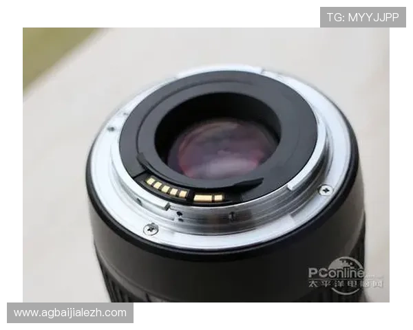 腾龙真人现场精彩表演带你领略真实武术魅力与视觉震撼体验