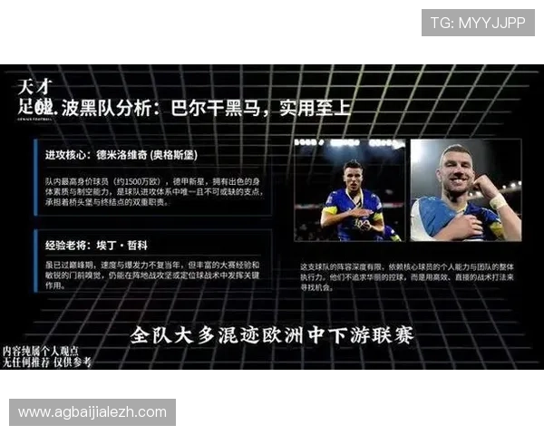 世界杯瑞士VS波黑比赛现场氛围及观赛指南详细介绍赛事亮点 世界杯瑞士VS波黑比赛现场氛围及观赛指南详细介绍赛事亮点